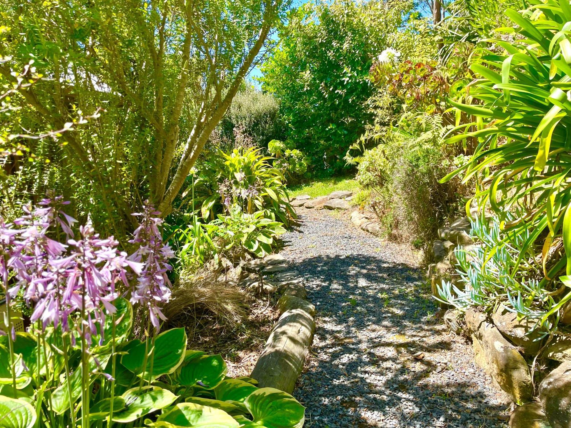 The Cove Cabin - Your Quiet Escape Dunedin Zewnętrze zdjęcie