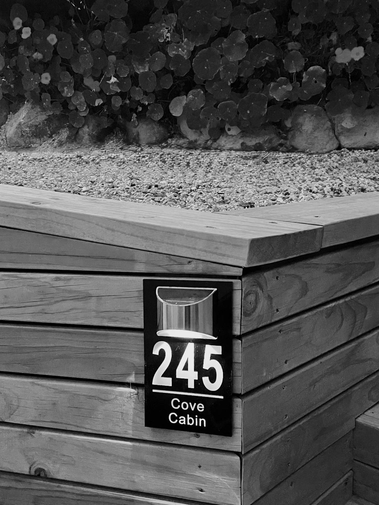 The Cove Cabin - Your Quiet Escape Dunedin Zewnętrze zdjęcie